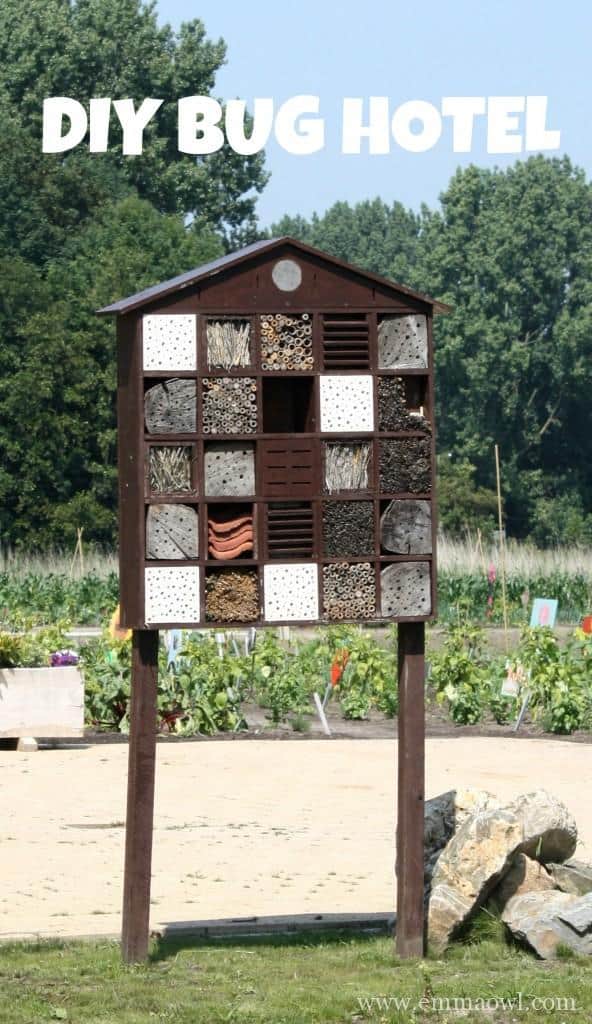 DIY Bug Hotel. Why do you need bugs in your garden