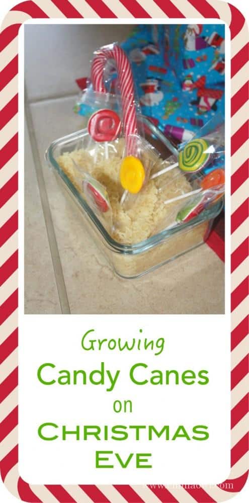 This is such a fun Kids activity - we loved it and look forward to it every year!
